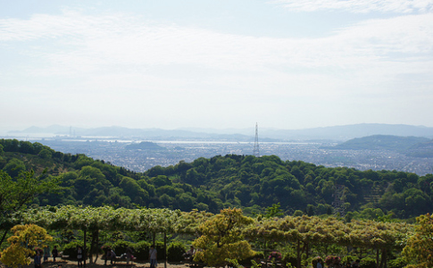 子供 幼児 の便秘解消にお勧めの飲み物はヤクルト400 乳酸菌が便秘対策に有効かもしれません アナザーディメンション