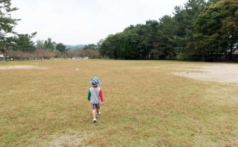 子供 幼児 の便秘解消にお勧めの飲み物はヤクルト400 乳酸菌が便秘対策に有効かもしれません アナザーディメンション