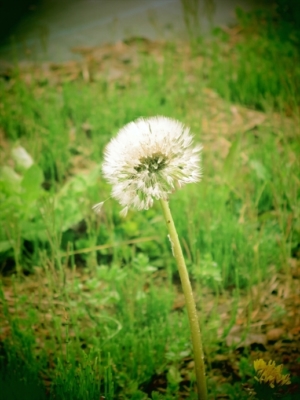 160_R