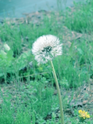 161_R