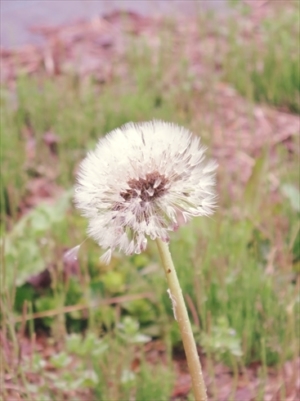 162_R