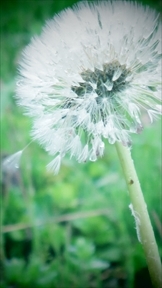 163_R