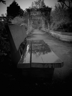 197_R
