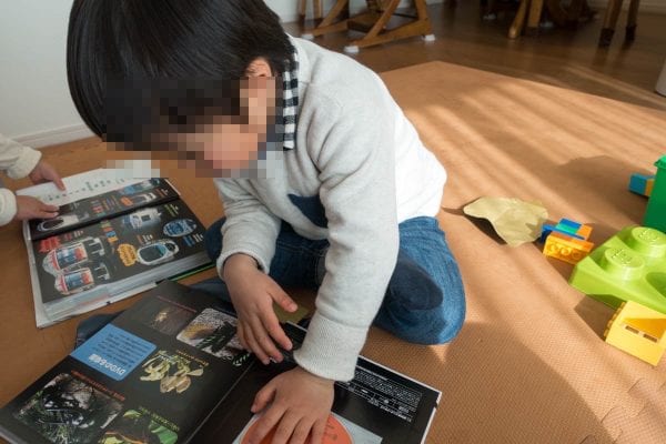誕生日プレゼントは大好きな電車と昆虫の図鑑