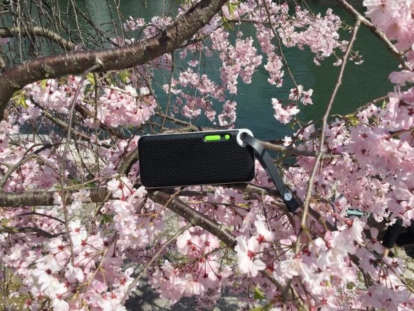 花見で使ってみた