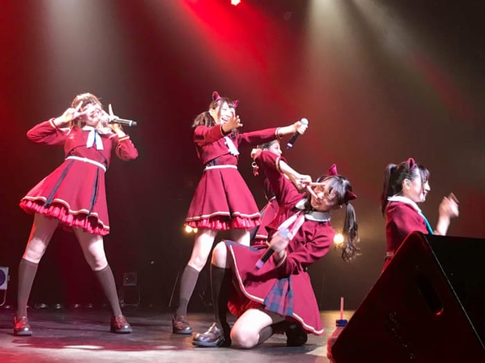 女性アイドルのファンは普通男性が多い