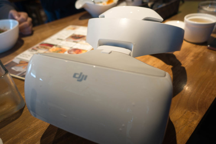 DJI Goggles