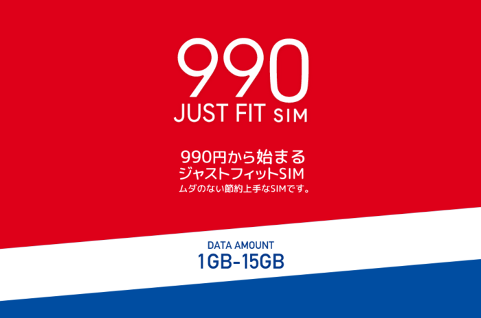 990JUST FIT SIM