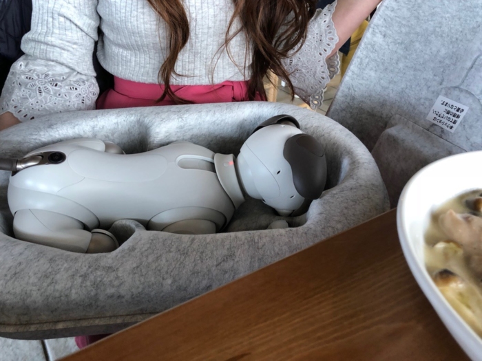 寝ているaibo