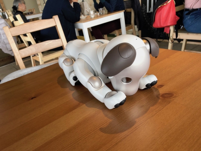 寝るaibo