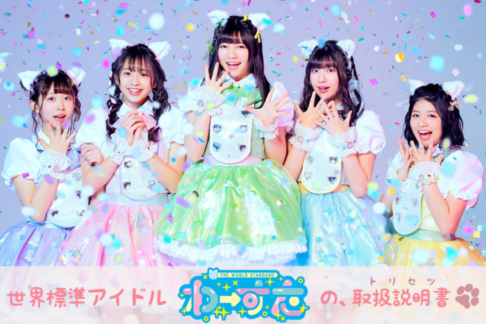 世界標準アイドル「わーすた」の取扱説明書