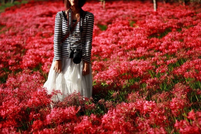 女性の写真