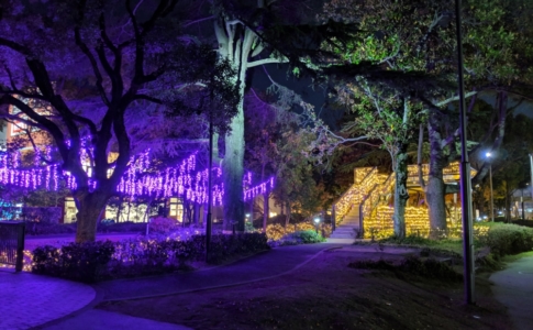 Pixel 3 夜景モードで撮影したイルミネーション