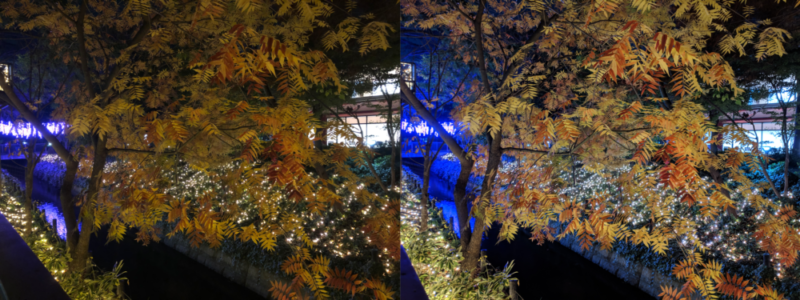 夜景モード比較 高揚した樹木