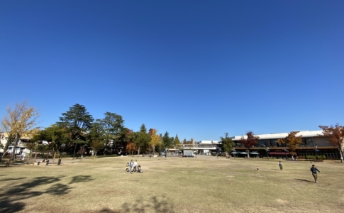 2018年の振り返り
