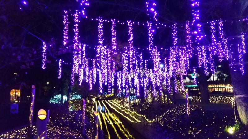 夜景の撮影