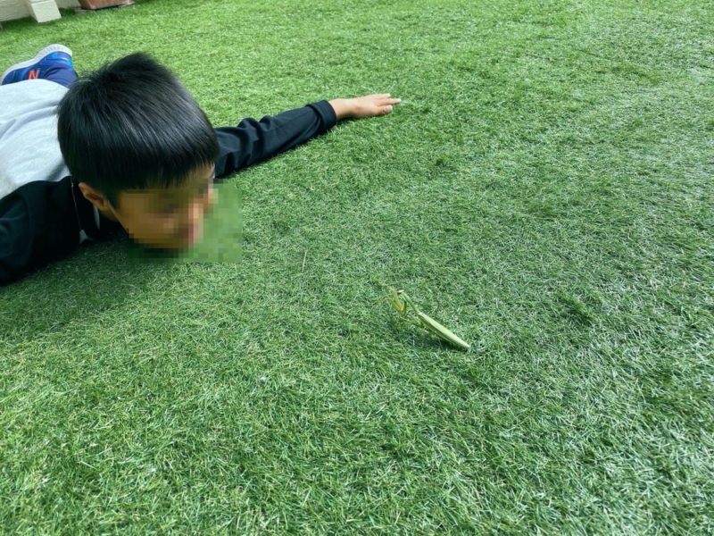 虫が大好きな息子