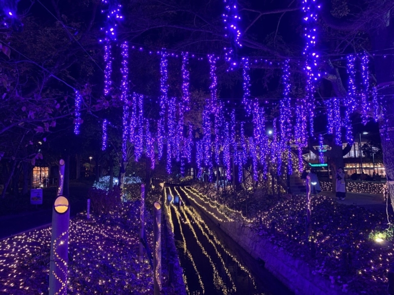 iPhone XRの夜景撮影2