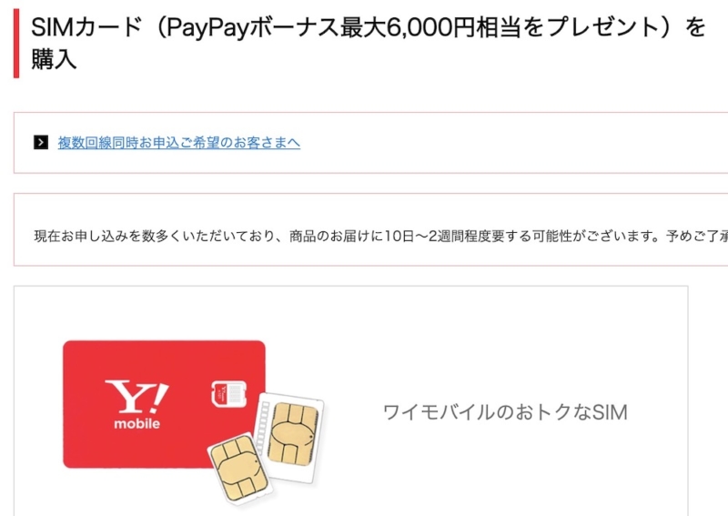 Y!mobile公式ストア SIM PayPay6,000円分