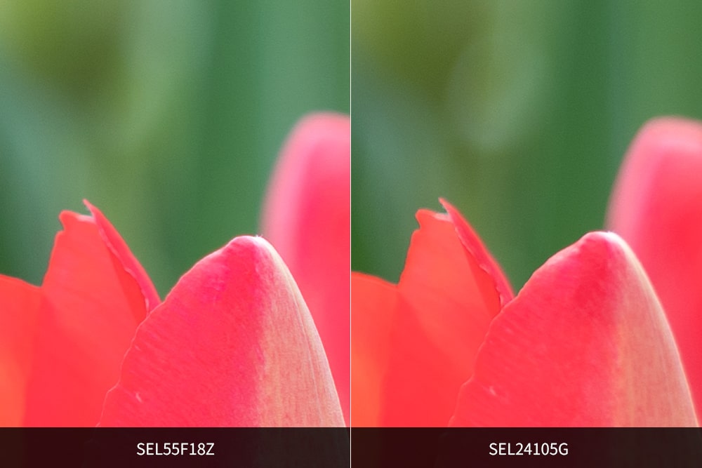 SEL55F18Zレビューボケかた比較