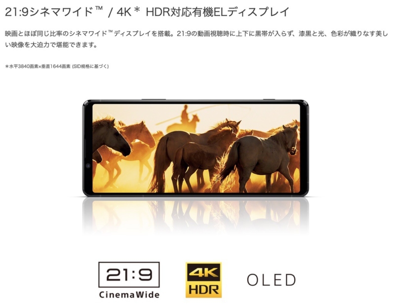 4K有機ELディスプレイ