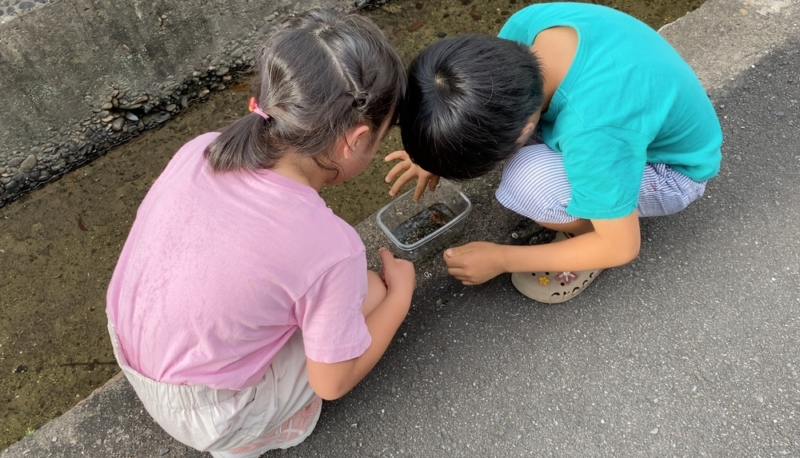 しっかり者