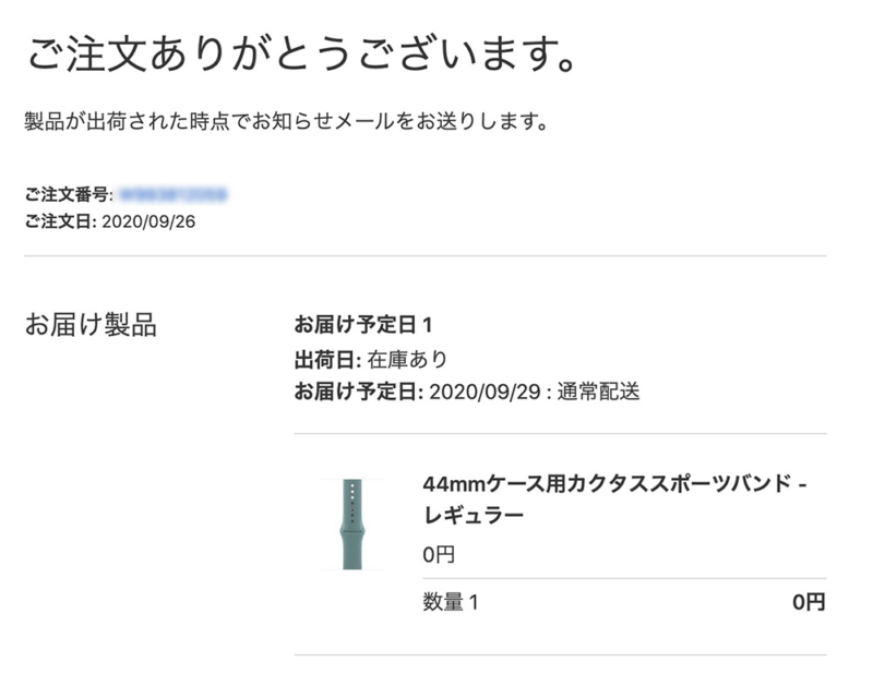 カクタススポーツバンドの注文メール