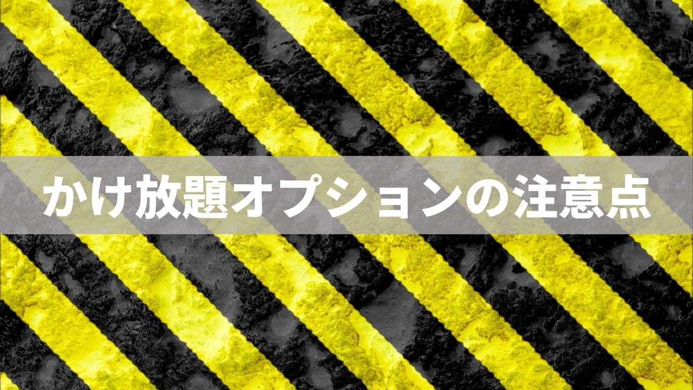 かけ放題オプション 注意点
