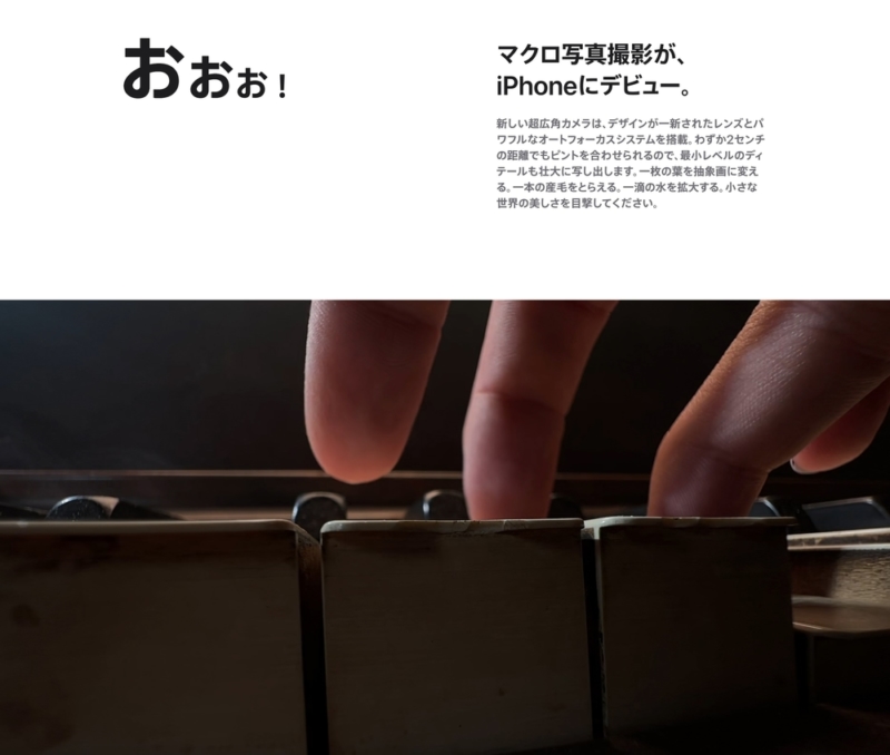 マクロ撮影