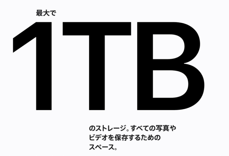 最大で1TB