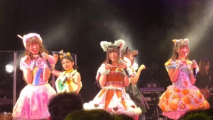 いぬねこからスタート
